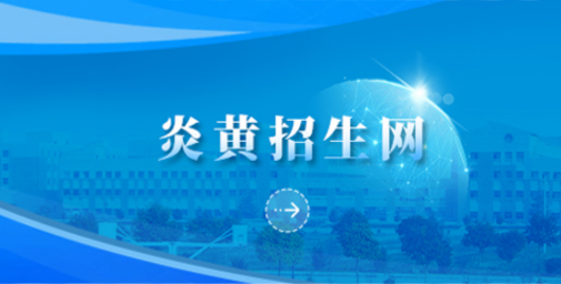 无码人妻丰满熟妇护士A片